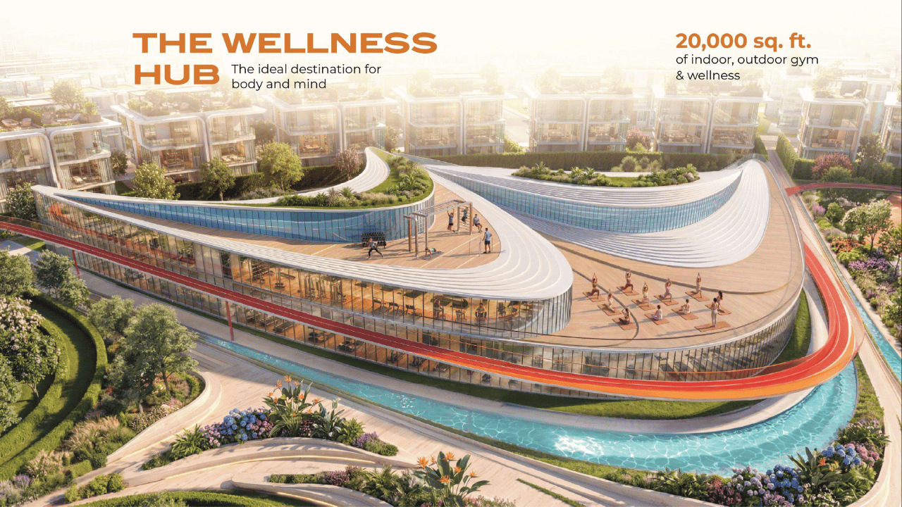 The Wellness Hub
